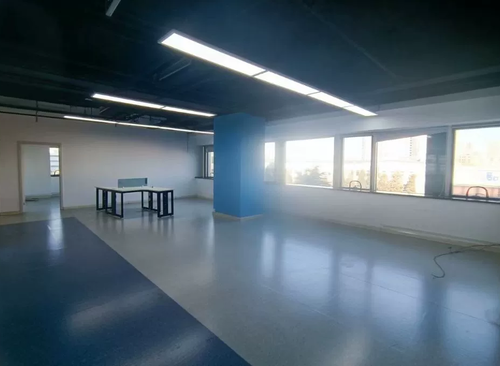 1286㎡