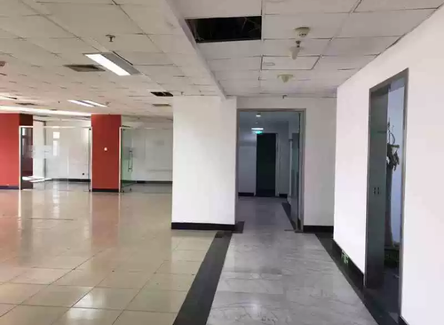 1166㎡