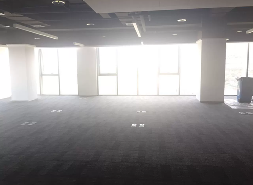 620㎡
