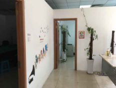 205㎡