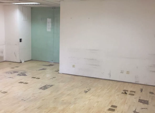 1300㎡