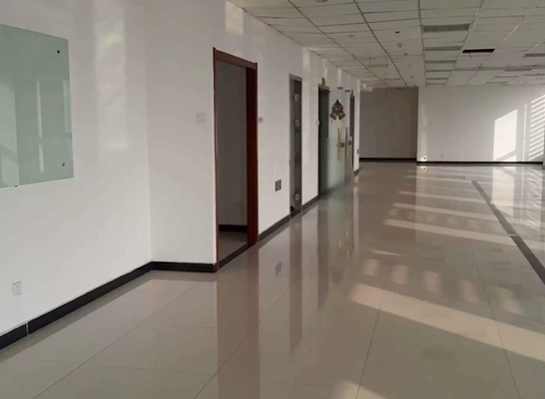 647㎡