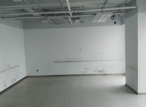 647㎡