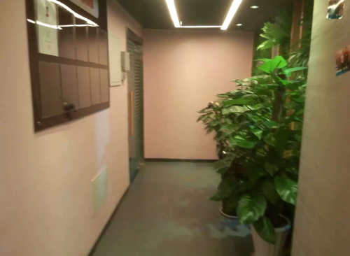 325㎡