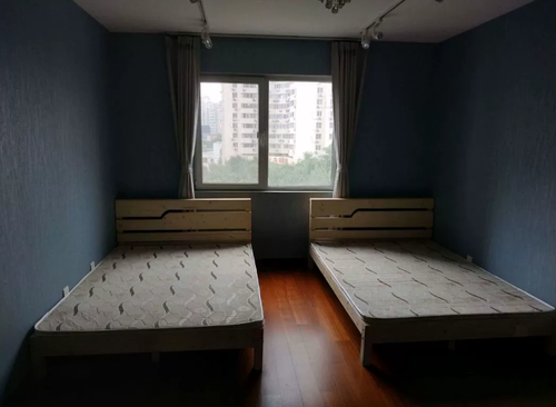 250㎡