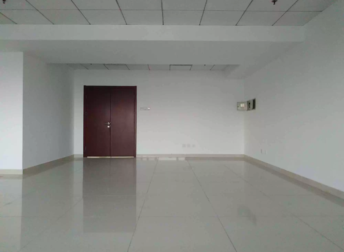 245㎡