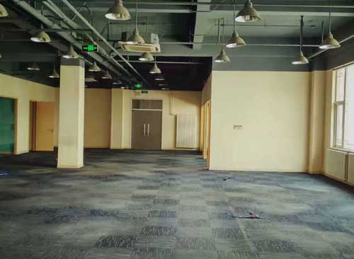 590㎡
