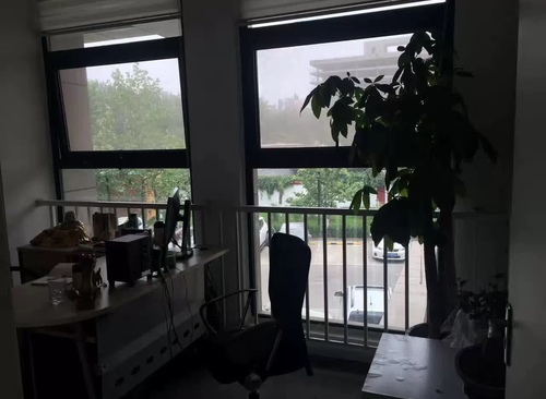 590㎡