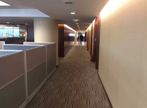 650㎡