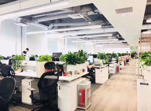 2000㎡