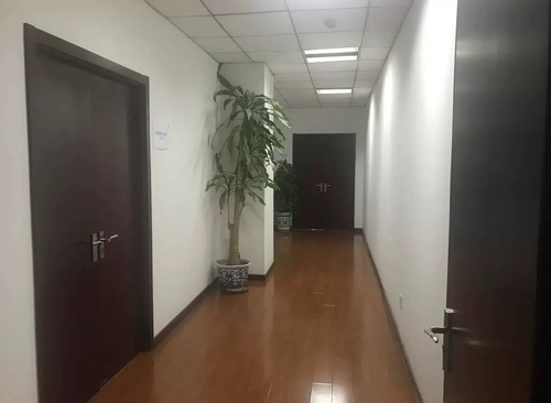 2479㎡