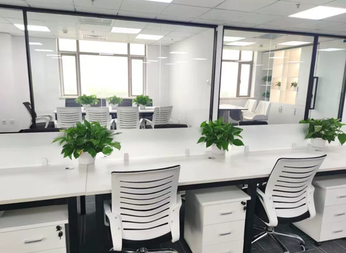494㎡