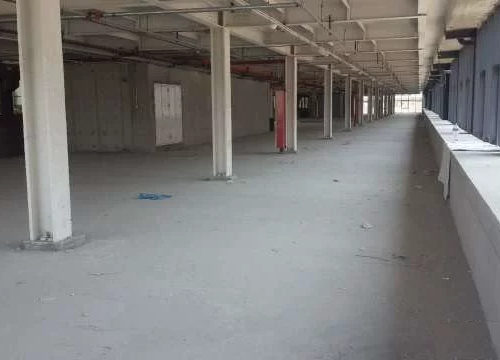 600㎡