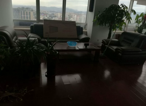 491㎡
