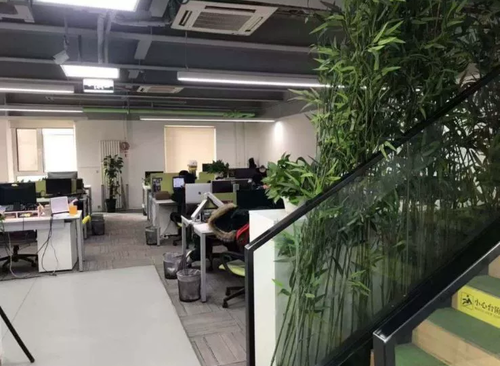 2463㎡