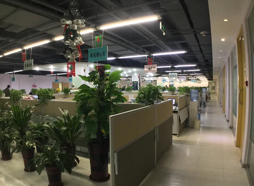 单间(无窗)
