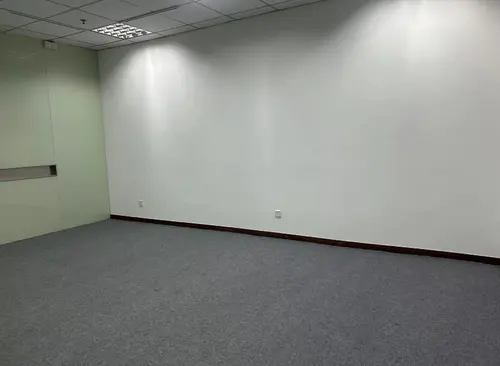 260㎡