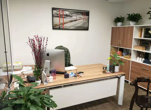 八佰伴 世纪大道地铁站旁 东方金融广场 精装修拎包入住